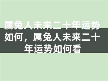 属兔人未来二十年运势如何，属兔人未来二十年运势如何看