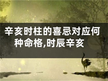 辛亥时柱的喜忌对应何种命格,时辰辛亥