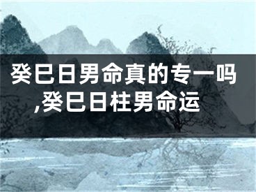 癸巳日男命真的专一吗,癸巳日柱男命运