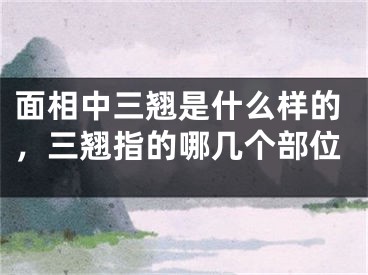 面相中三翘是什么样的,三翘指的哪几个部位