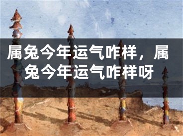属兔今年运气咋样,属兔今年运气咋样呀