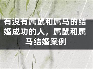 有没有属鼠和属马的结婚成功的人，属鼠和属马结婚案例