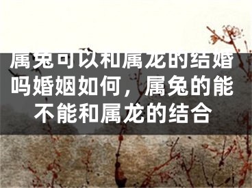 属兔可以和属龙的结婚吗婚姻如何，属兔的能不能和属龙的结合