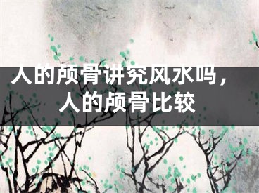 人的颅骨讲究风水吗，人的颅骨比较