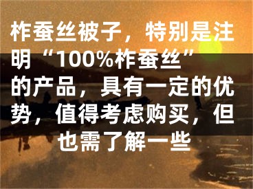 柞蚕丝被子,特别是注明“100%柞蚕丝”的产品,具有一定的优势,值得考虑购买,但也需了解一些