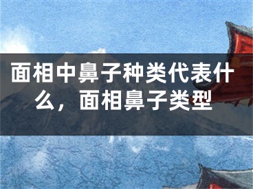 面相中鼻子种类代表什么，面相鼻子类型
