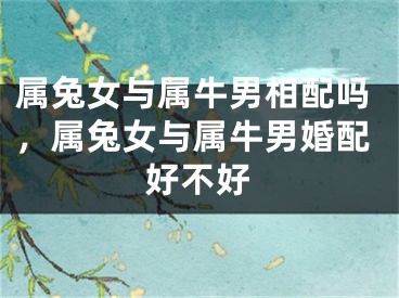属兔女与属牛男相配吗，属兔女与属牛男婚配好不好