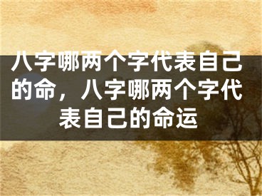 八字哪两个字代表自己的命,八字哪两个字代表自己的命运