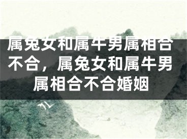 属兔女和属牛男属相合不合,属兔女和属牛男属相合不合婚姻