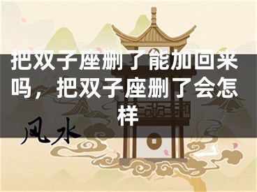 把双子座删了能加回来吗,把双子座删了会怎样