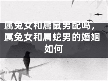 属兔女和属鼠男配吗，属兔女和属蛇男的婚姻如何