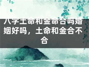 八字土命和金命合吗婚姻好吗,土命和金合不合