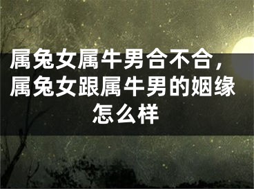 属兔女属牛男合不合，属兔女跟属牛男的姻缘怎么样
