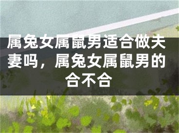 属兔女属鼠男适合做夫妻吗，属兔女属鼠男的合不合