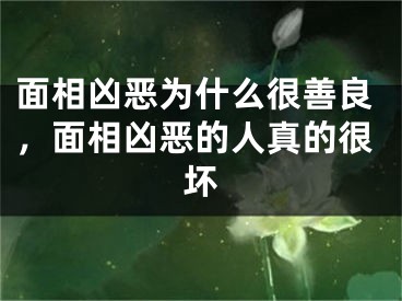 面相凶恶为什么很善良,面相凶恶的人真的很坏