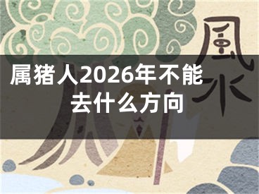 属猪人2026年不能去什么方向