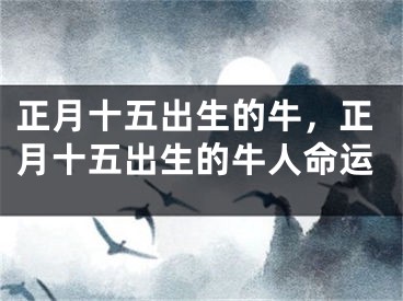 正月十五出生的牛，正月十五出生的牛人命运