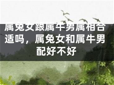 属兔女跟属牛男属相合适吗，属兔女和属牛男配好不好