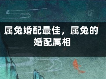 属兔婚配最佳,属兔的婚配属相