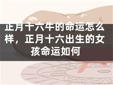 正月十六牛的命运怎么样，正月十六出生的女孩命运如何