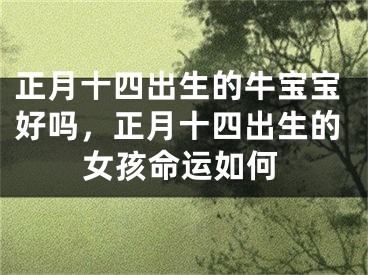 正月十四出生的牛宝宝好吗，正月十四出生的女孩命运如何