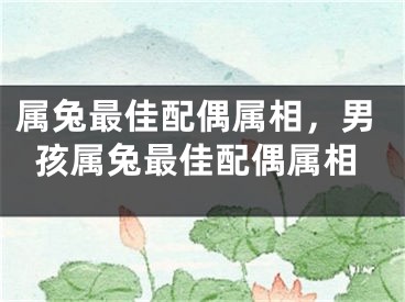 属兔最佳配偶属相,男孩属兔最佳配偶属相
