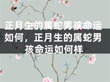 正月生的属蛇男孩命运如何，正月生的属蛇男孩命运如何样