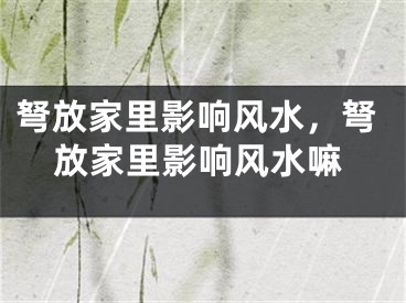 弩放家里影响风水,弩放家里影响风水嘛