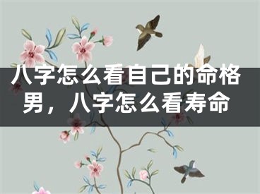 八字怎么看自己的命格男,八字怎么看寿命
