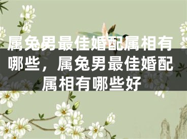 属兔男最佳婚配属相有哪些，属兔男最佳婚配属相有哪些好