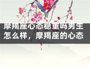 摩羯座心态稳重吗男生怎么样，摩羯座的心态
