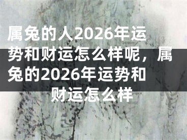 属兔的人2026年运势和财运怎么样呢,属兔的2026年运势和财运怎么样