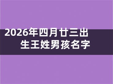 2026年四月廿三出生王姓男孩名字