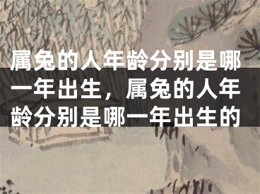 属兔的人年龄分别是哪一年出生,属兔的人年龄分别是哪一年出生的