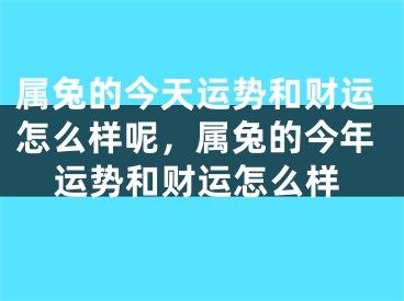 属兔的今天运势和财运怎么样呢,属兔的今年运势和财运怎么样