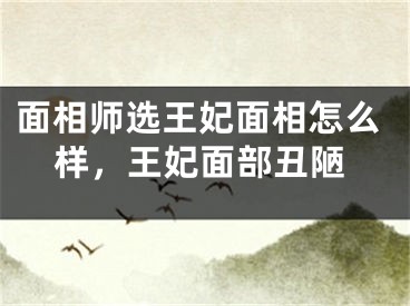 面相师选王妃面相怎么样，王妃面部丑陋