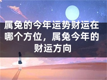 属兔的今年运势财运在哪个方位，属兔今年的财运方向