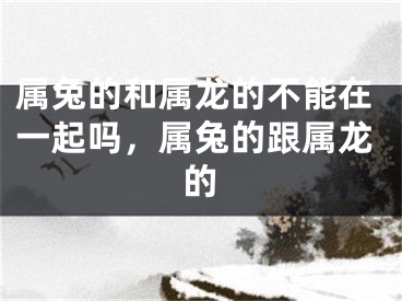 属兔的和属龙的不能在一起吗，属兔的跟属龙的