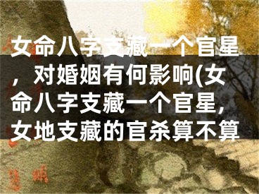 女命八字支藏一个官星，对婚姻有何影响(女命八字支藏一个官星,女地支藏的官杀算不算