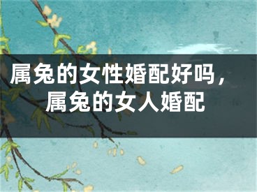 属兔的女性婚配好吗,属兔的女人婚配