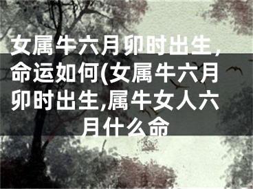 女属牛六月卯时出生，命运如何(女属牛六月卯时出生,属牛女人六月什么命