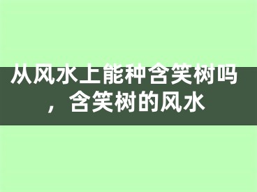从风水上能种含笑树吗，含笑树的风水