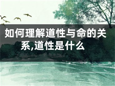 如何理解道性与命的关系,道性是什么