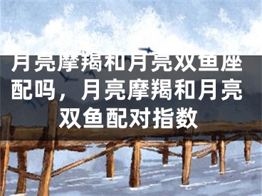 月亮摩羯和月亮双鱼座配吗，月亮摩羯和月亮双鱼配对指数