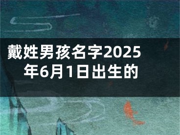 戴姓男孩名字2025年6月1日出生的