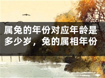 属兔的年份对应年龄是多少岁，兔的属相年份