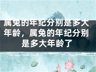 属兔的年纪分别是多大年龄，属兔的年纪分别是多大年龄了