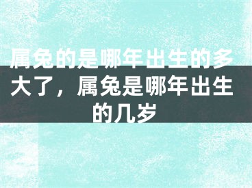 属兔的是哪年出生的多大了，属兔是哪年出生的几岁