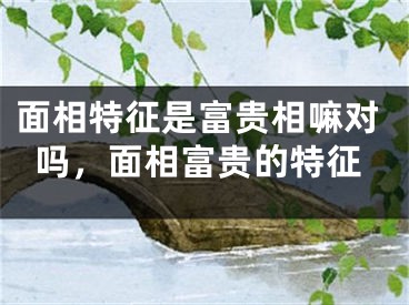 面相特征是富贵相嘛对吗，面相富贵的特征