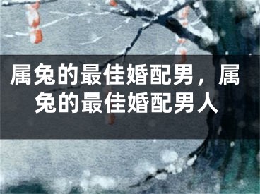 属兔的最佳婚配男，属兔的最佳婚配男人